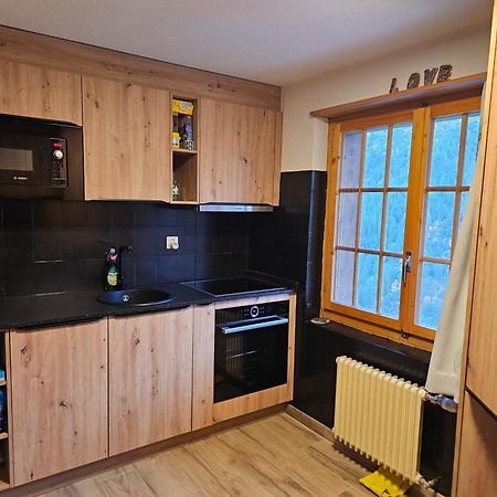 Le Panorama - Appartement 54 A Arolla Face Aux Montagnes A 150M Des Pistes エヴォレーヌ エクステリア 写真