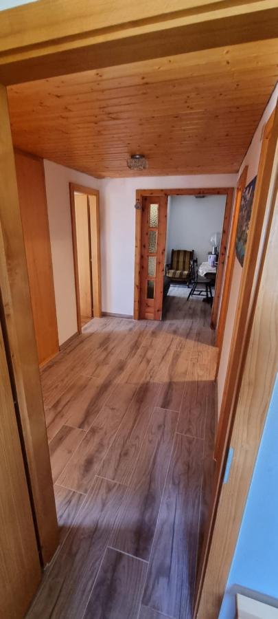 Le Panorama - Appartement 54 A Arolla Face Aux Montagnes A 150M Des Pistes エヴォレーヌ エクステリア 写真
