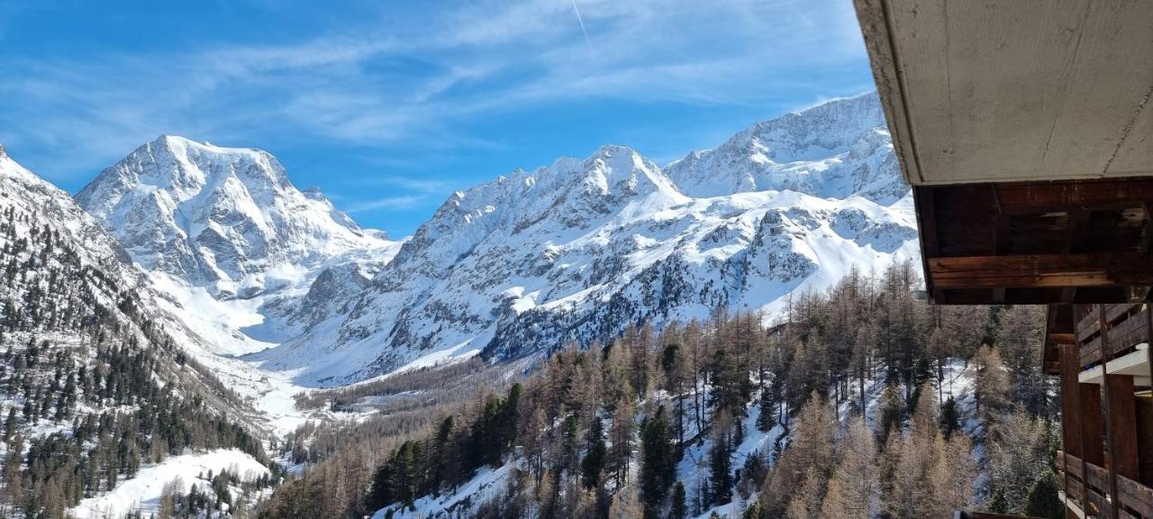 Le Panorama - Appartement 54 A Arolla Face Aux Montagnes A 150M Des Pistes エヴォレーヌ エクステリア 写真