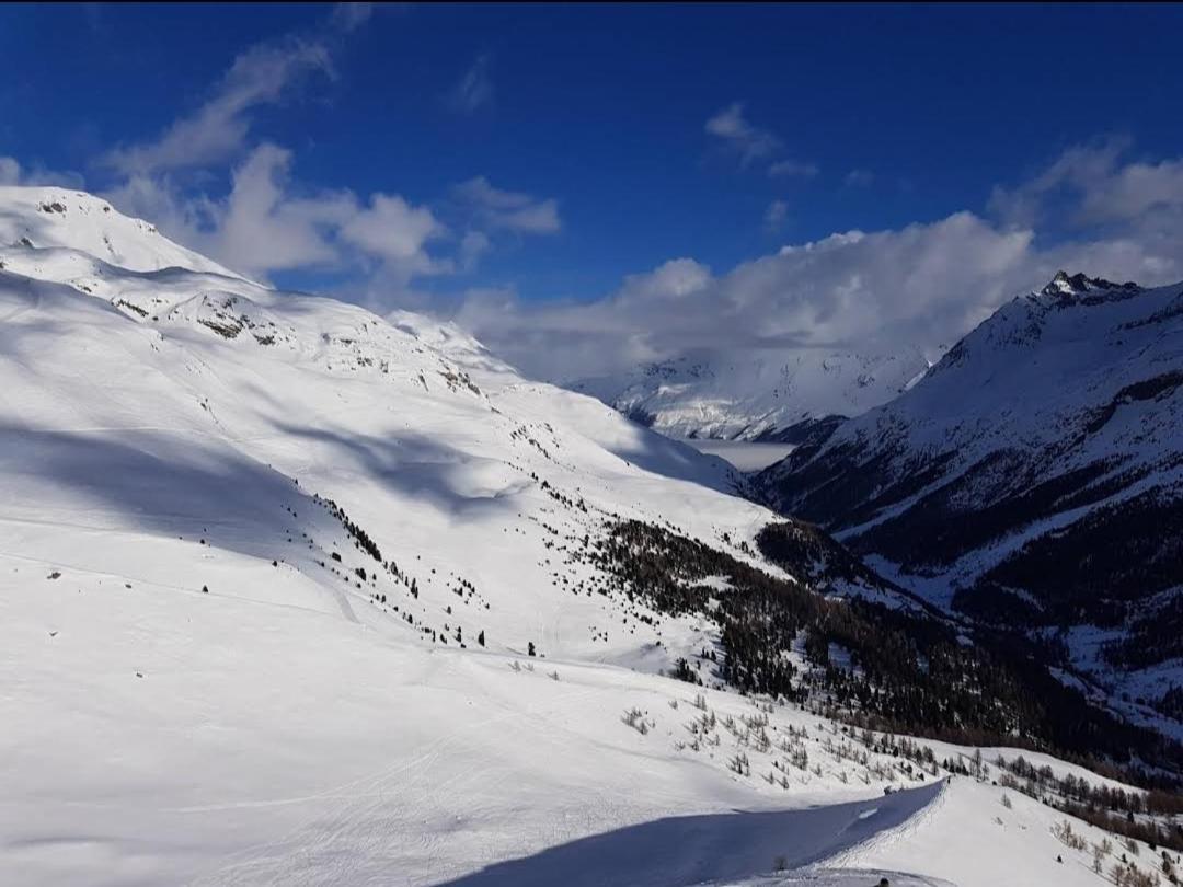 Le Panorama - Appartement 54 A Arolla Face Aux Montagnes A 150M Des Pistes エヴォレーヌ エクステリア 写真