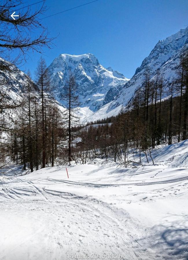 Le Panorama - Appartement 54 A Arolla Face Aux Montagnes A 150M Des Pistes エヴォレーヌ エクステリア 写真