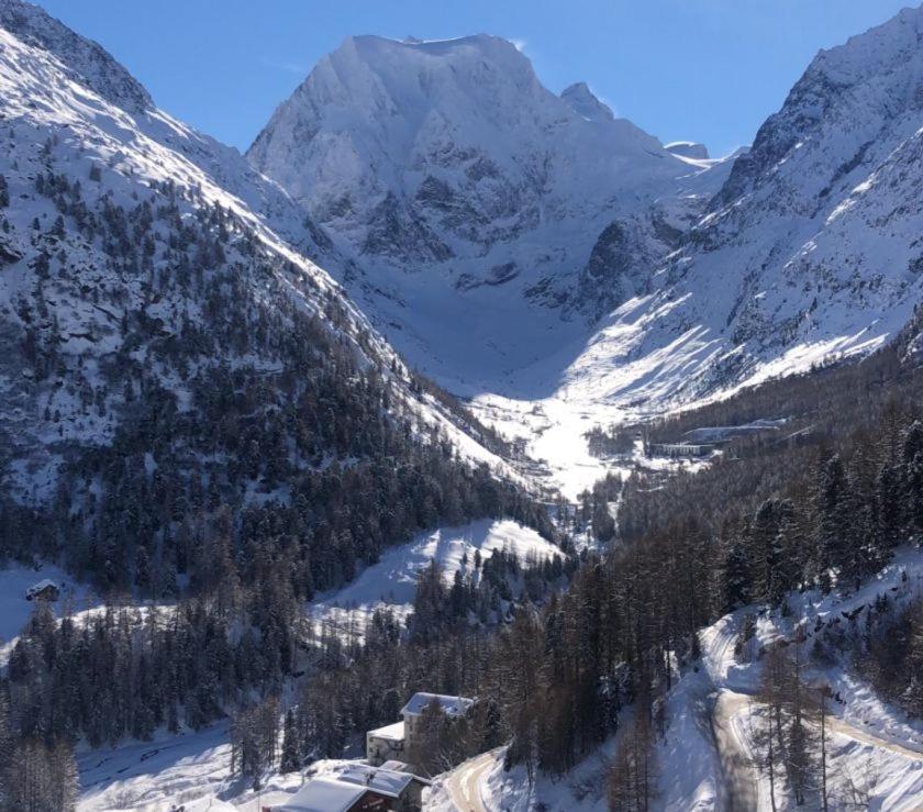 Le Panorama - Appartement 54 A Arolla Face Aux Montagnes A 150M Des Pistes エヴォレーヌ エクステリア 写真