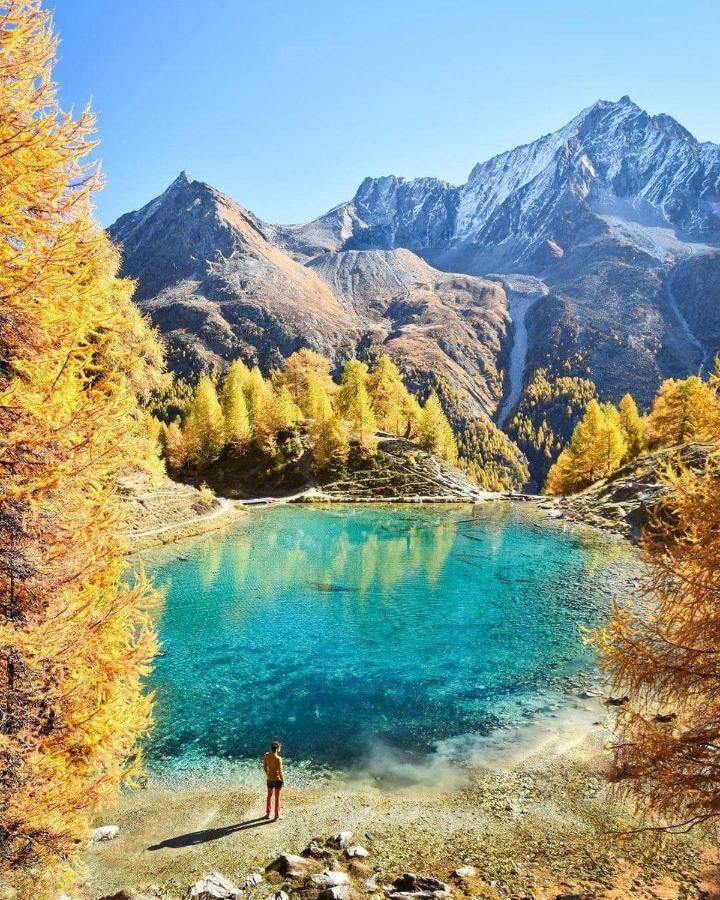 Le Panorama - Appartement 54 A Arolla Face Aux Montagnes A 150M Des Pistes エヴォレーヌ エクステリア 写真