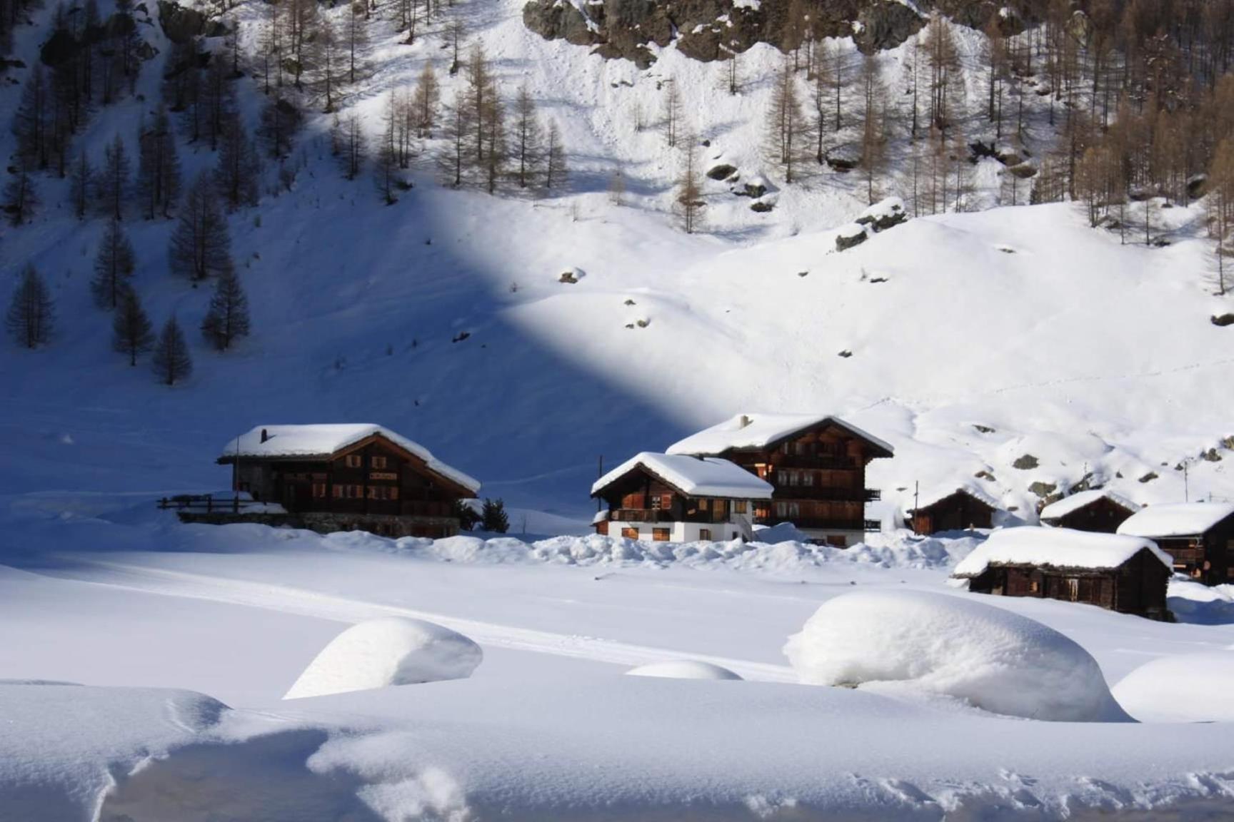 Le Panorama - Appartement 54 A Arolla Face Aux Montagnes A 150M Des Pistes エヴォレーヌ エクステリア 写真